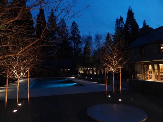 Residential Landscape Pool and Tree Lighting