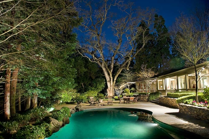 Custom Landscape Lighting with Tree Features